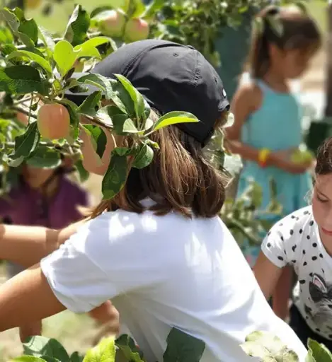 [EL MACHISTRE] LA VIDA EN EL MACHISTRE-RAÍCES VALENCIANAS